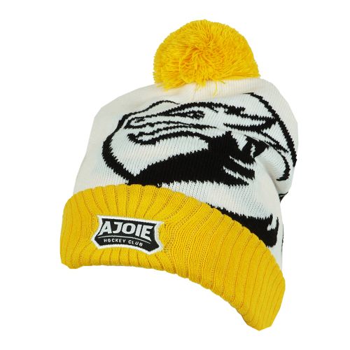 HC Ajoie Bonnet Hockey Club 1973